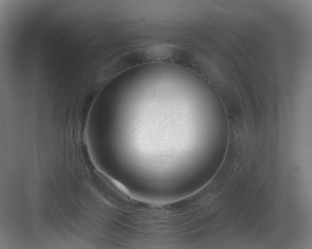 X0000083060745200702091504
