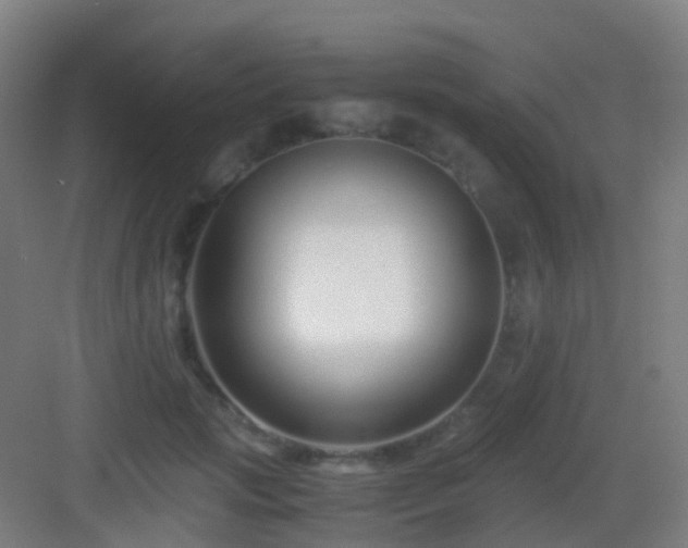 X0000083060749200702091504