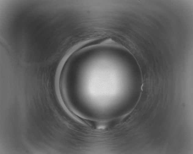 X0000083060750200702091504