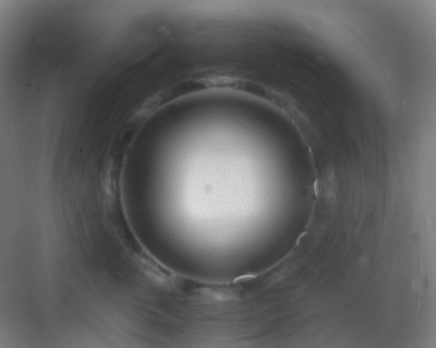 X0000083060763200702091504