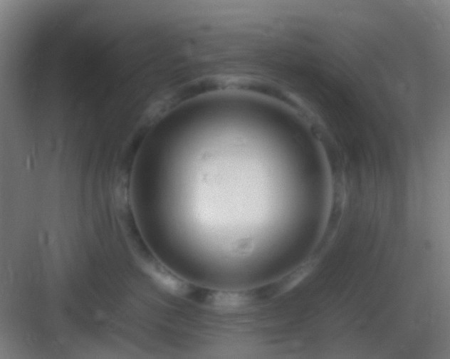 X0000083060766200702091504