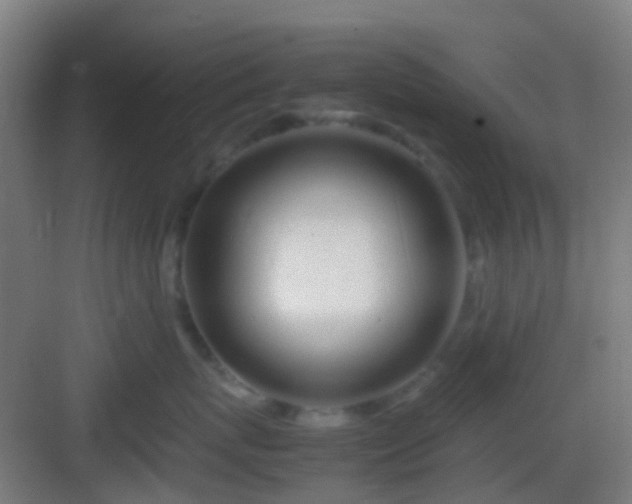 X0000083060767200702091504