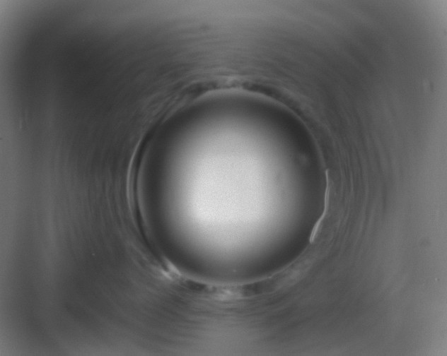X0000083060768200702091504