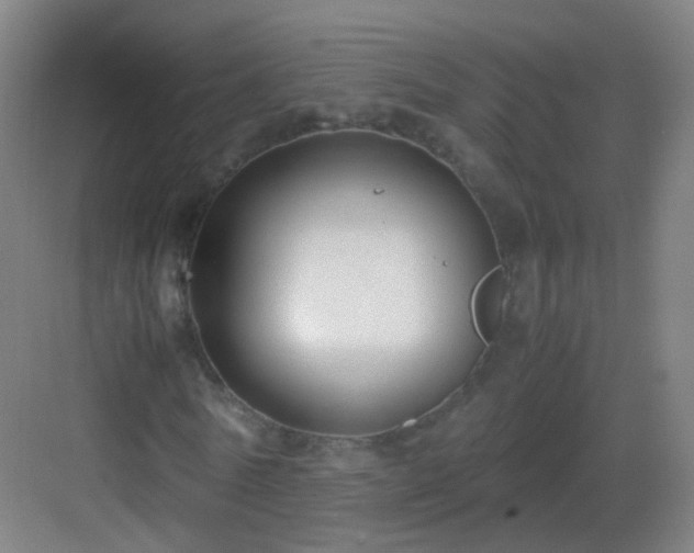 X0000083060770200702091503
