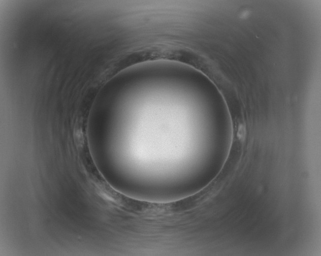 X0000083060771200702091503
