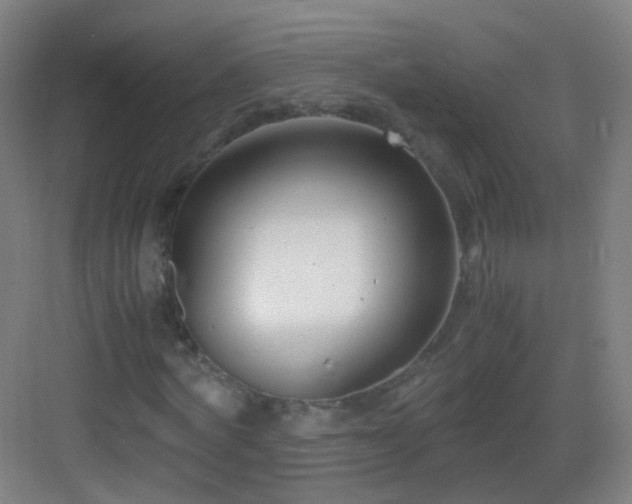 X0000083060772200702091503