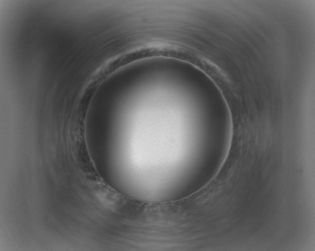 X0000083060776200702091503
