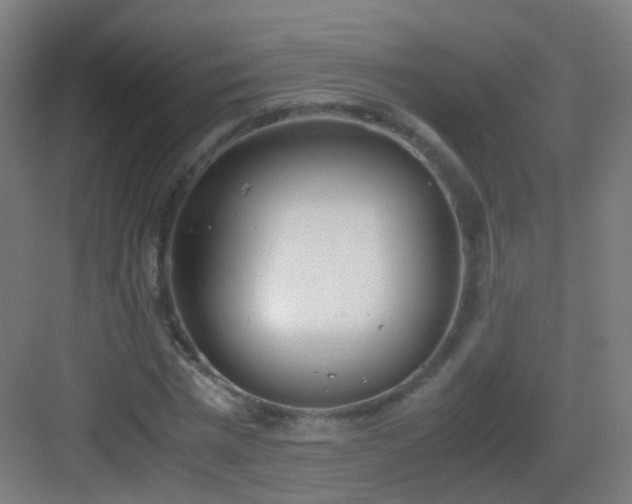 X0000083060777200702091503