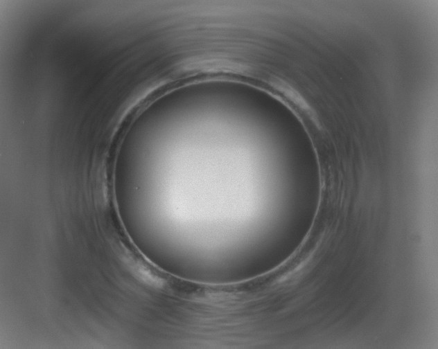 X0000083060782200702091503