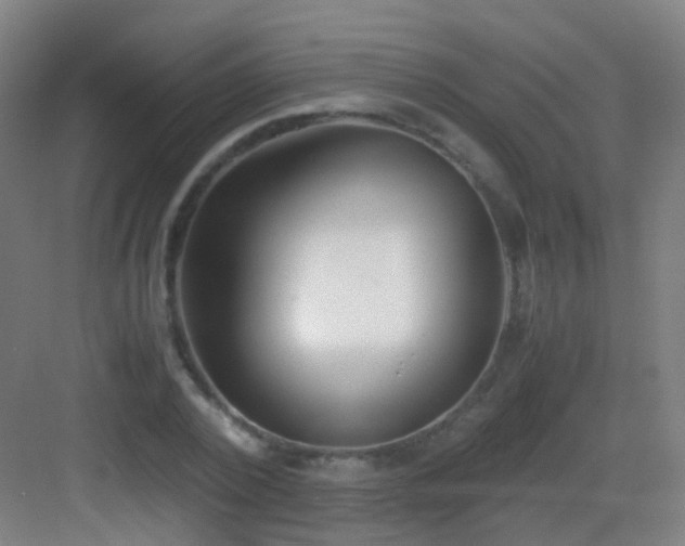 X0000083060784200702091503