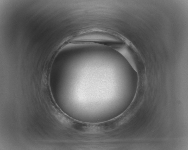 X0000083060785200702091503