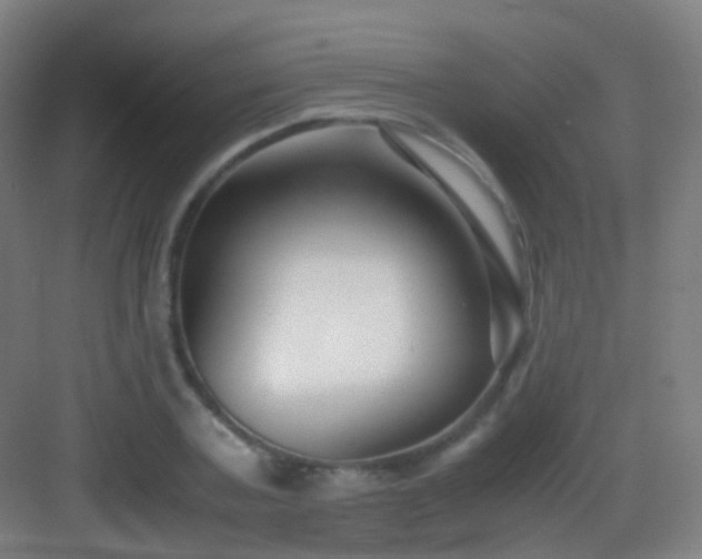 X0000083060787200702091503