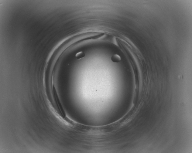 X0000083060788200702091503