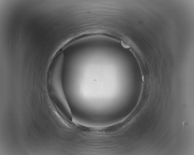X0000083060789200702091503