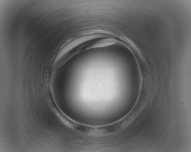 X0000083060793200702091503