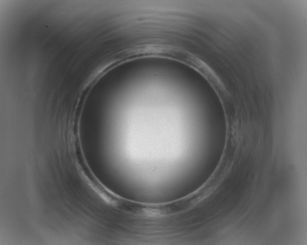 X0000083060794200702091503