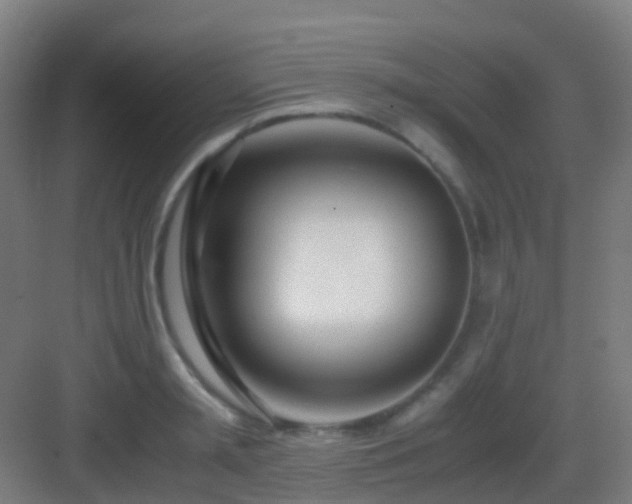 X0000083060797200702091503
