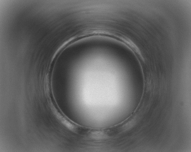 X0000083060798200702091503
