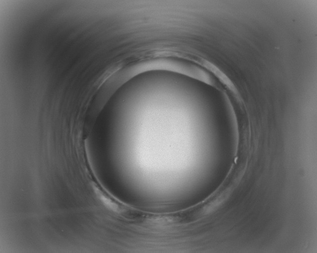 X0000083060801200702091503