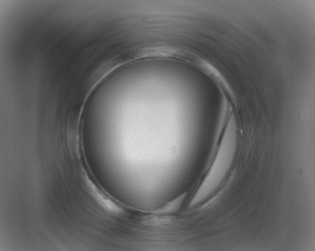 X0000083060802200702091503