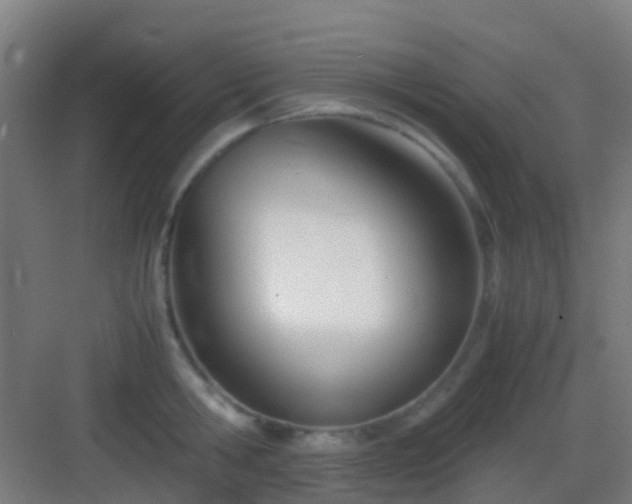 X0000083060806200702091503