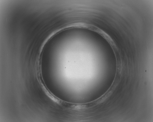X0000083060808200702091503
