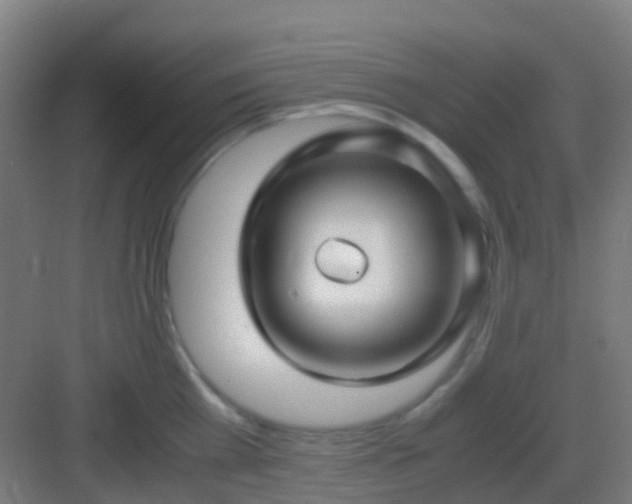 X0000083060809200702091502