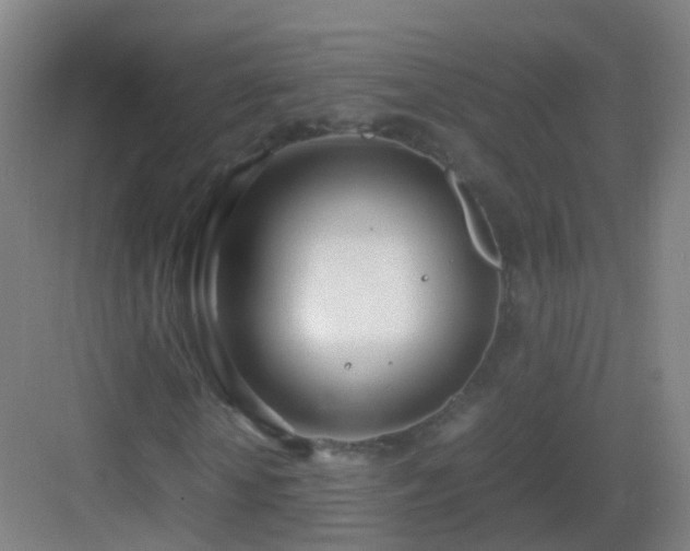 X0000083060818200702091501