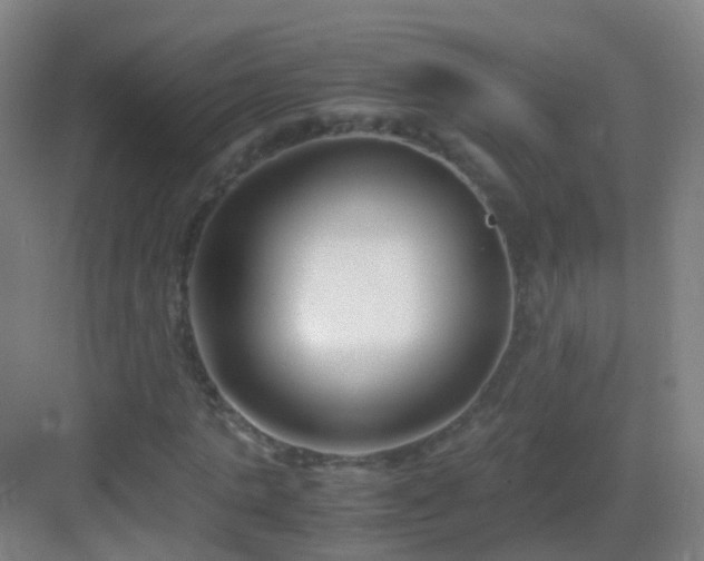 X0000083060821200702091501