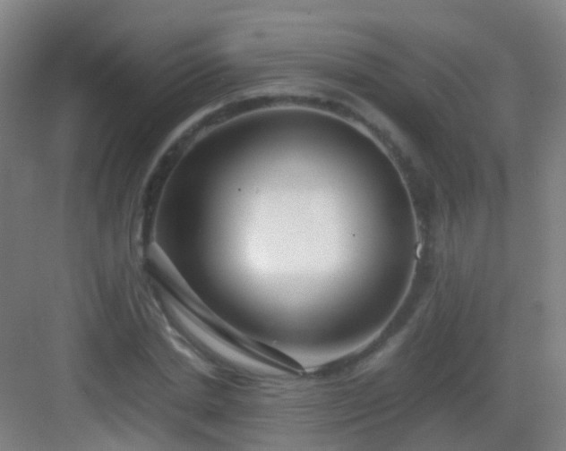 X0000083060830200702091502