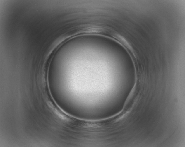 X0000083060835200702091502