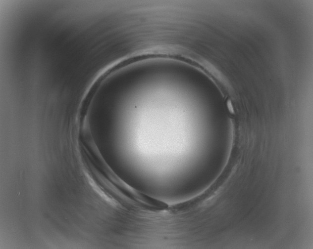 X0000083060838200702091502