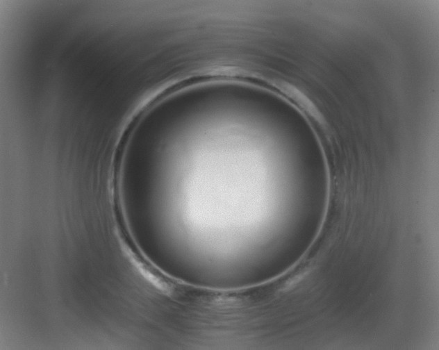 X0000083060839200702091502