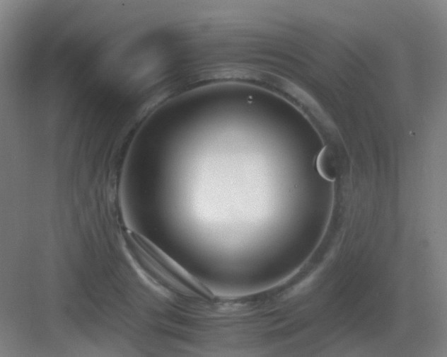 X0000083060841200702091502