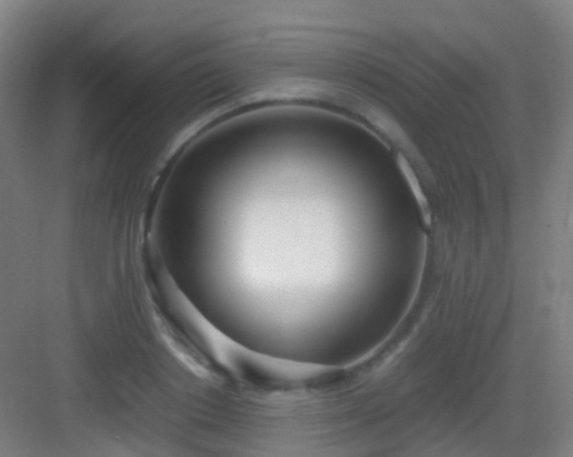 X0000083060842200702091502