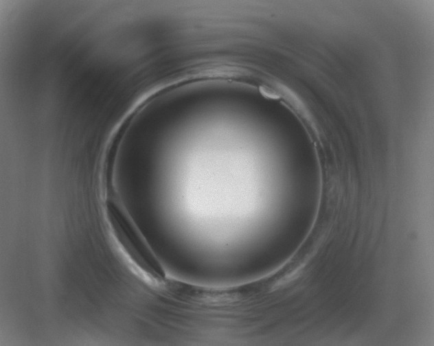 X0000083060843200702091502