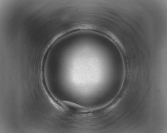 X0000083060845200702091502