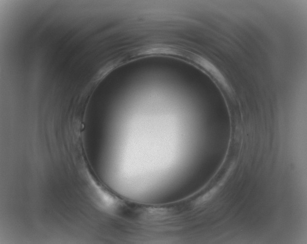 X0000083060849200702091502
