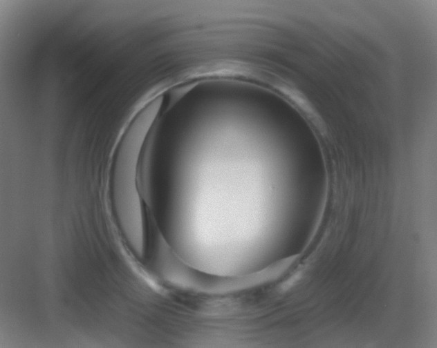 X0000083060850200702091502