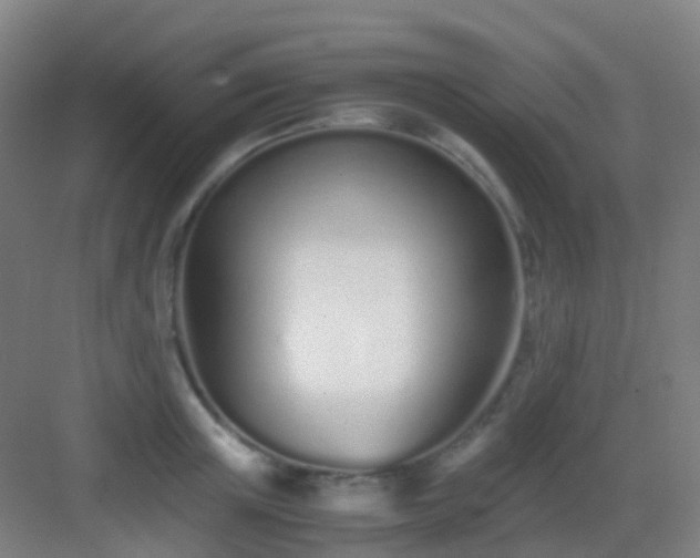 X0000083060851200702091502