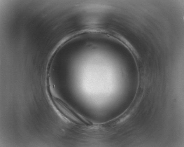 X0000083060853200702091502