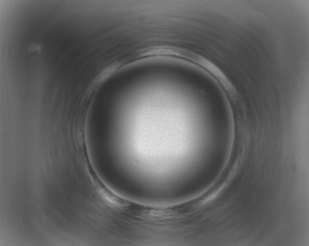 X0000083060857200702091502
