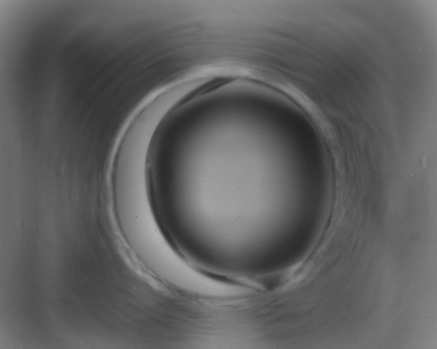 X0000083060864200702091502
