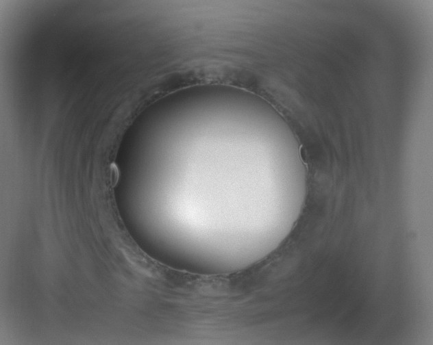X0000083060865200702091501
