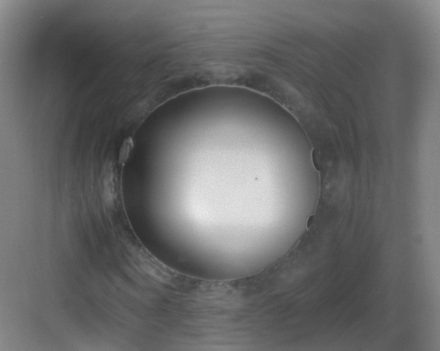 X0000083060866200702091501