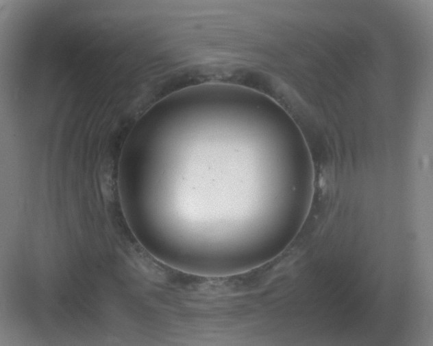 X0000083060867200702091501