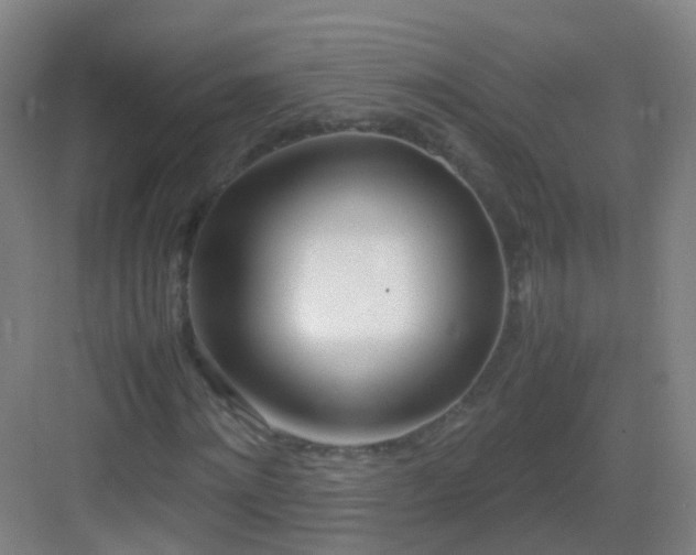 X0000083060868200702091501