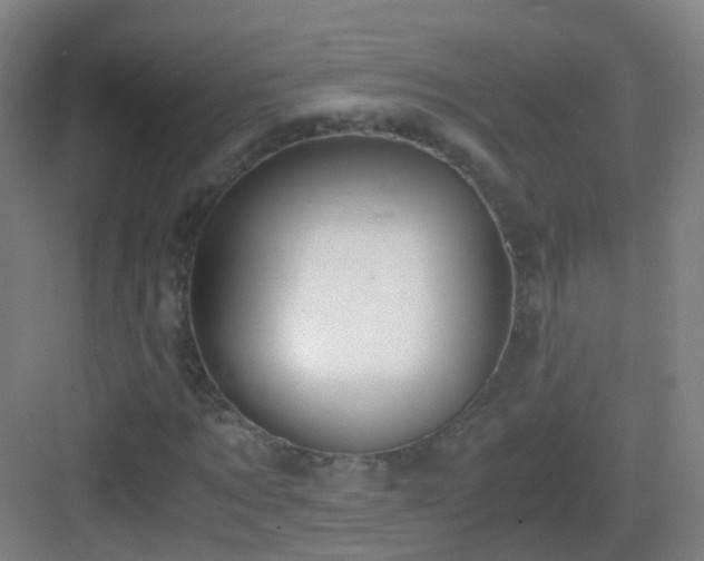 X0000083060869200702091501