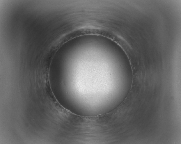 X0000083060870200702091501