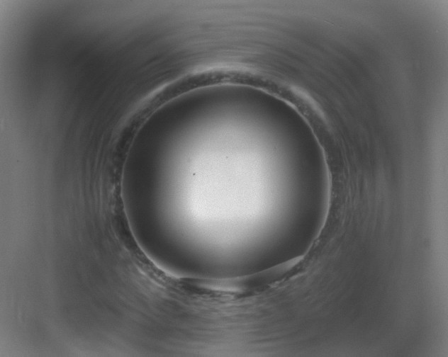 X0000083060872200702091501